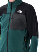 The North Face Coats Green