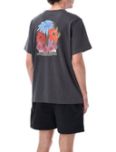 The North Face T-Shirts und Polos Grau