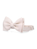 Lardini Ties Ivory