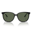 Ray Ban Sunglasses Rb4378 601/71 Black/Dark Green Unisex