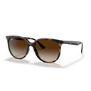 Ray Ban Sunglasses Rb4378 710/13 Brown/Brown Unisex