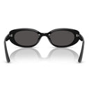 Ray Ban Sunglasses Rb4441 D 667787 Black/Dark Gray Unisex