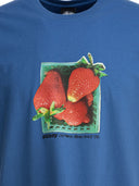 Stüssy T Shirts