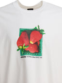 Stüssy T Shirts