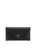 Pinko Clutches
