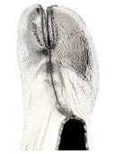 Bottes de la cheville Maison Margiela 'Tabi'