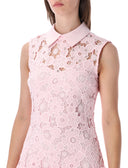 Self Portrait Dresses
