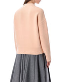Ami Paris Pullover rosa