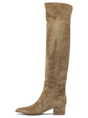 Gianvito Rossi Suede Boots 45mm