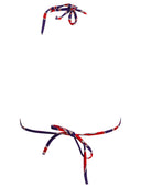 Pucci Labirinto Print Triangle Bikini Top