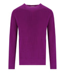 أمارانتو الأرجواني Crewneck البلوز