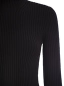 Maxmara Aral1234 Ribbed Wool And Cashmere Turtleneck Jumper