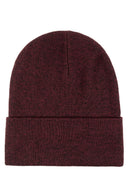 Patagonia Beanie Made From Recycled Polyester With A Logo
