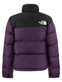 La giacca da due tono in tono in tono del 1996 North Face