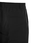 Peserico Wool Blend Flannel Trousers