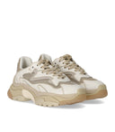 Ash Addict White Gold Sneaker