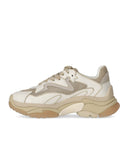 Ash Addict White Gold Sneaker