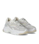 Ash Addict White Sneaker