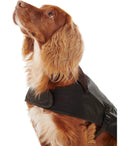 Abrigo de perro verde oliva de cera de Barbour