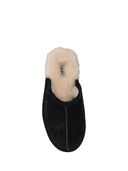 Ugg M Scuff