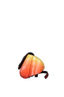 Chloé Chloé C Belt Bag