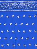 Parosh Foulard