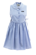 Miu Miu Abiti Vichy