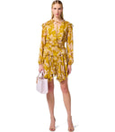 Elisabetta Franchi Curry Quarzo Mini Dress With Ruches