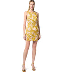 Elisabetta Franchi Curry Quarzo Sleeveless Dress