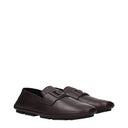 Dolce&Gabbana Men's Driver Moccasins Brown/Testa Di Moro Leather