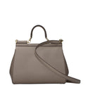 Dolce&Gabbana Women's Sicily Handbags In Light Grey/Mud Leather