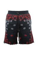 Amiri corto