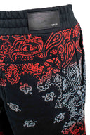 Amiri corto