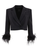 Pinko Zagarese Spencer Blazer