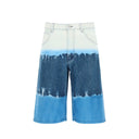 Alberta Ferretti Denim Shorts
