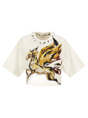 Etro Pegasus T Shirt And Etro Cube Logo